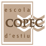 IV ESCUELA DE VERANO COPEC 2016